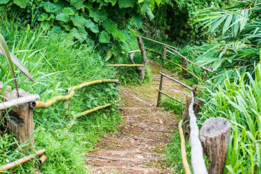 Tayland, Tayland 'da bambu raylı ahşap merdivenler