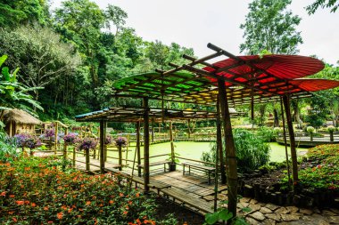 Mae Fah Luang bahçesinin manzarası, Tayland.