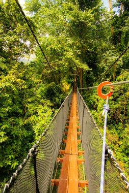 Mae Fah Luang Bahçesinde Ağaç Tepesi Yürüyüşü, Chiang Rai.