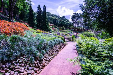 Chiang Rai bölgesindeki Mae Fah Luang Bahçesi, Tayland.