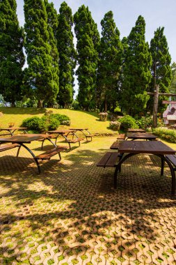 CHIANG RAI, THAILAND - 28 Ağustos 2016: Mae Fah Luang Garden, Tayland.