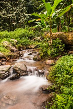 Champa Tanga Şelalesinde Su Akıyor, Tayland.