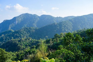 Beautiful Mountain View at Pha Hi Village, Chiang Rai Province.