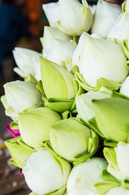 Tay tarzında Lotus stand, Tayland yakın çekim