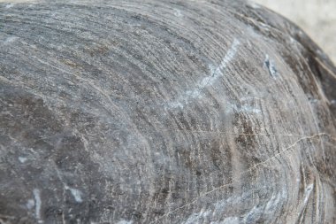 Gri kaya dokusu, Tayland