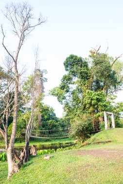 halat köprü Milli Park, Tayland