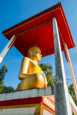 Tayland 'daki Tayland tapınağındaki güzel Buda heykeli