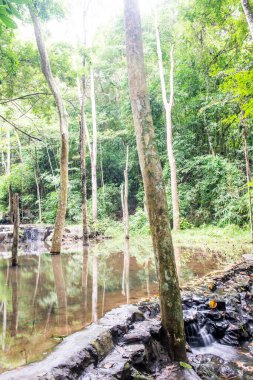 Saraburi 'de Samlan Şelalesi, Tayland