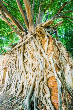 Kratai Tapınak, Tayland antik Tay kilisede seslendirdi.