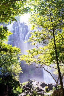 Ulusal Park, Tayland 'da Klonglan Şelalesi.