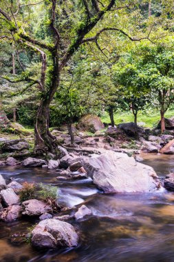 Tayland 'daki ulusal parktaki Klonglan şelalesinde su akıyor..