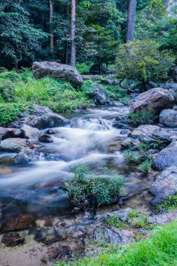 Tayland 'daki ulusal parktaki Klonglan şelalesinde su akıyor..