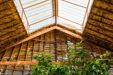 Çatı penceresi ve Yaprak Çatı, Tayland.