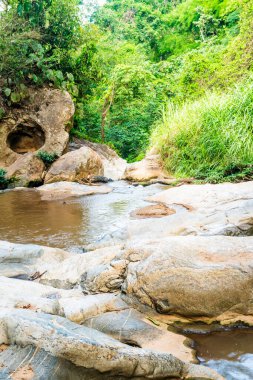 Thai Ormanı, Tayland 'da Su Akıntısı.