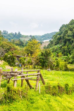 Tayland 'daki Dağların Güzel Manzarası.