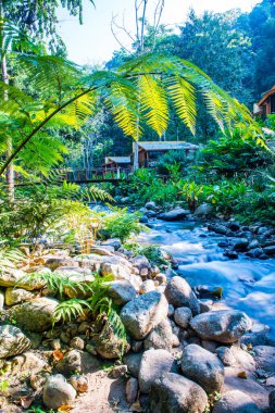 Tayland 'da küçük bir dere.