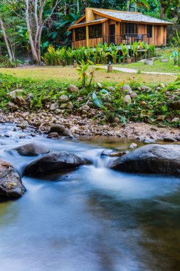 Tayland 'da küçük bir dere.