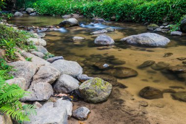 Tayland 'da küçük bir dere.
