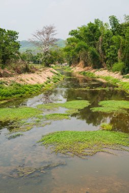 Tayland 'ın doğal manzarası