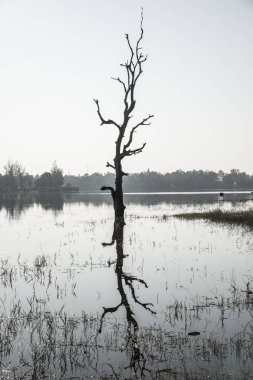 Tayland 'ın Chiangmai ilindeki Huay Tueng Tao gölünün manzara manzarası.