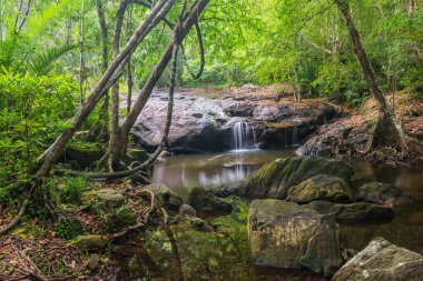 Pang Sida Şelalesi Tayland 'daki ulusal parkta