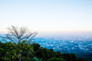 Chiangmai Eyaleti, Tayland 'da Sunset Time ile Ağaç Silueti.