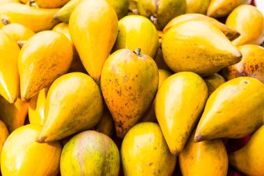 Tayland 'da satışta yumurta meyvesi ya da Canistel..