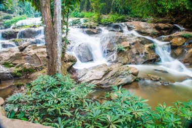 Maesa Noi Şelalesi, Tayland.