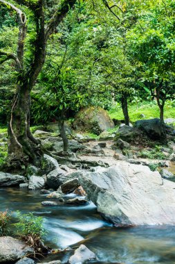 Tayland 'daki ulusal parktaki Klonglan şelalesinde su akıyor..