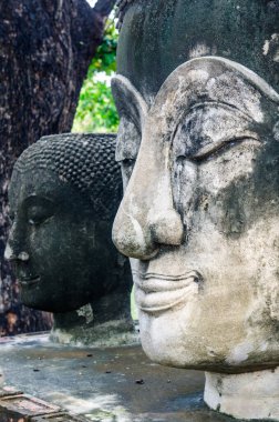 baş shot Buda heykelinin, Tayland.