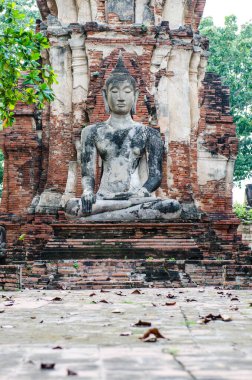 Tayland 'ın Ayutthaya ilinde tapınaklı Buda heykeli.