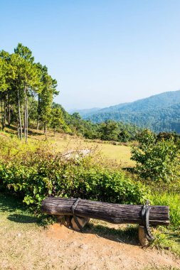 Tayland 'ın Chiangmai eyaletindeki Dağ Ormanı