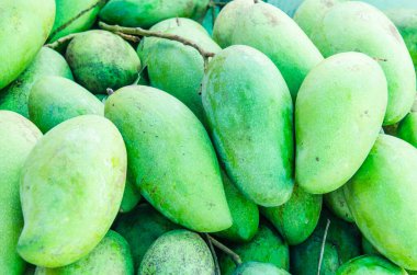 Taze yeşil mango meyvesi, Tayland.