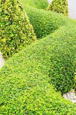 Tayland tarzı bahçe, Tayland.