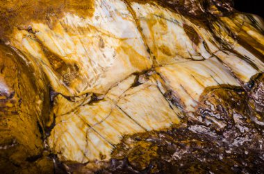 Kahverengi kayanın arka planı, Tayland
