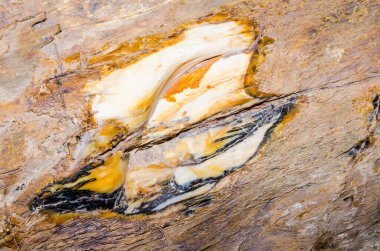 Kahverengi kayanın arka planı, Tayland