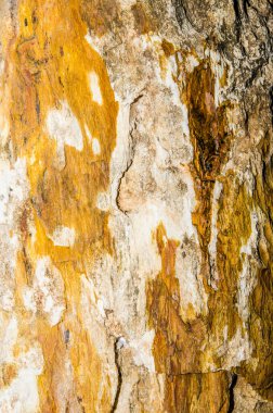 Tayland 'da güzel bir kayanın arka planı