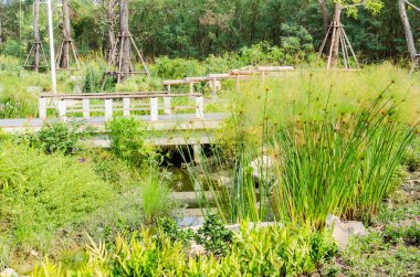 Parktaki köprü, Tayland