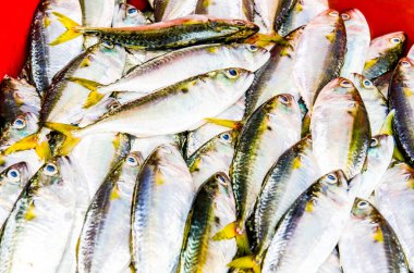 Taze balık taze pazarda, Tayland