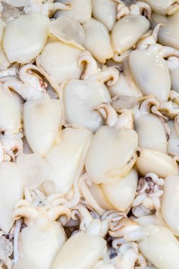 Taze mürekkep balığı taze pazarda, Tayland