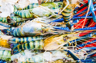 Tayland 'daki deniz ürünleri pazarında taze karides.
