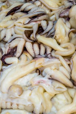 Taze mürekkep balığı taze pazarda, Tayland