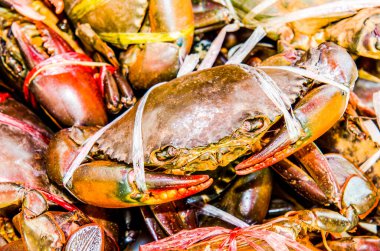 Tayland 'daki deniz ürünleri pazarında taze yengeç.