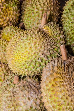 Markette Durian meyveleri, Tayland usulü meyveler, Tayland