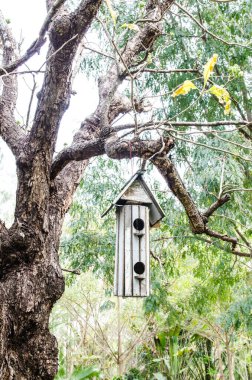 Ağacı olan ahşap kuş evi, Tayland