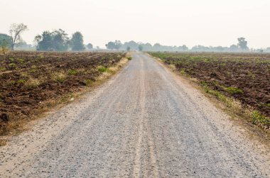 Kuru tarlalı köy yolu, Tayland