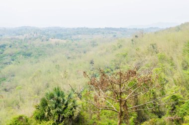 Doğaya bakış açısı, Tayland