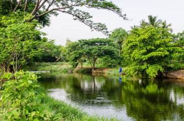 Kamu parkında göl, Tayland.