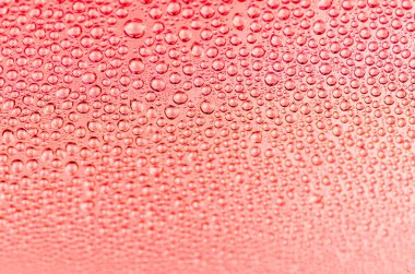 Kırmızı damla arkaplanı, Tayland.