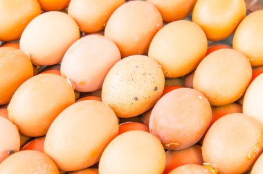 Taze yumurta grubu, Tayland.